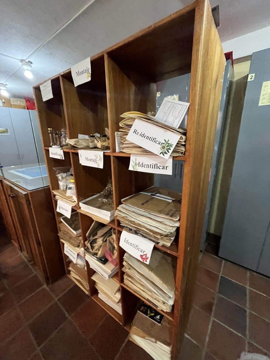 Het is van groot beland dat de wetenschappelijke collecties van het Charles Darwin Research Station een betere opslag krijgen.