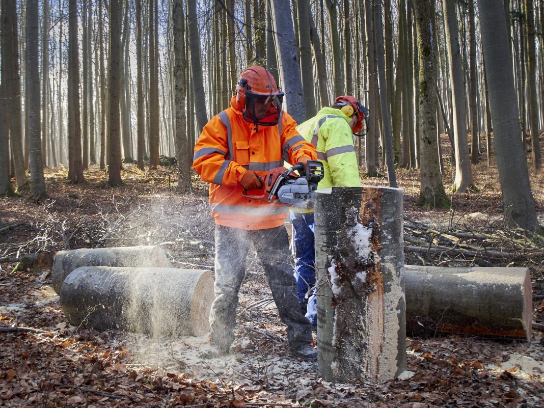 De nieuwe cao Bos & Natuur heeft een looptijd van twee jaar. (foto: Ingo Jakubke)