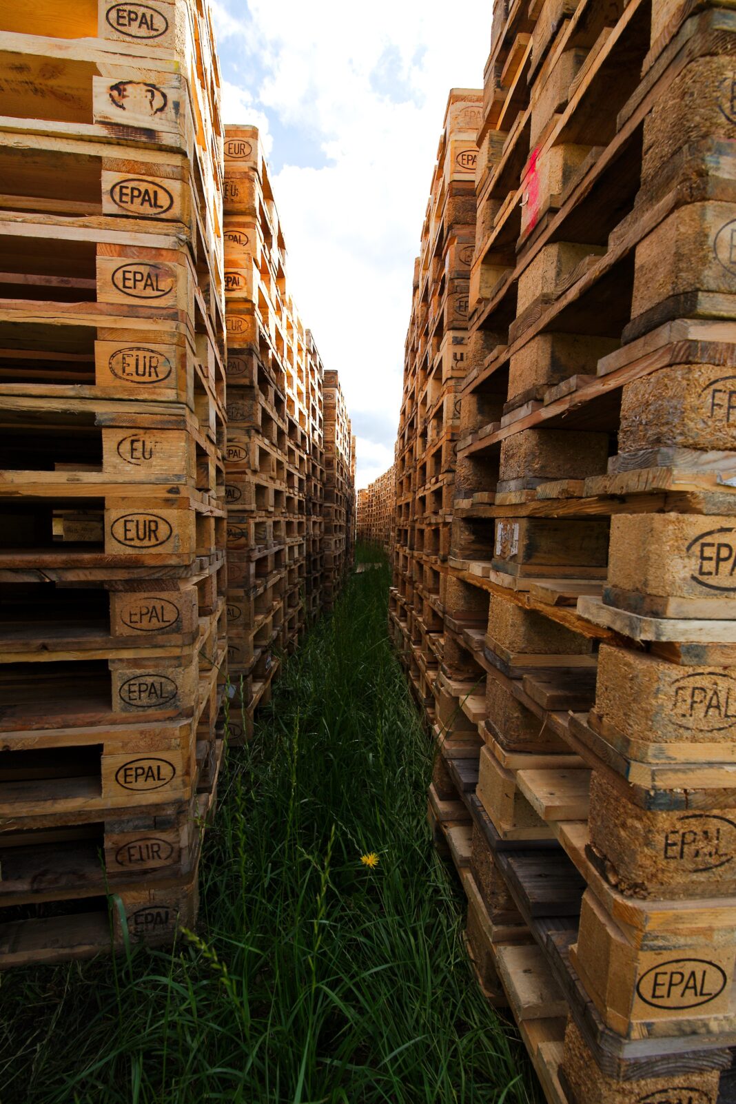 EPV verwacht dat de markt voor houten verpakkingen de komende tijd gevoelig blijft voor externe ontwikkelingen, waarbij prijsfluctuaties aannemelijk blijven. (foto: Lutz Peter)