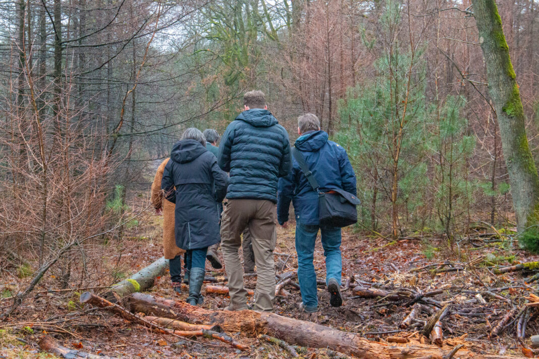 De SFM-werkgroep speelt een centrale rol in de verdere ontwikkeling van PEFC-standaarden. (foto: Fred Rijckenberg)