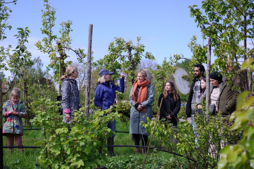 De landelijke Open Voedselbossendag is een initiatief van de Natuur en Milieufederaties, georganiseerd door Boer&Buur met Natuur in samenwerking met Voedsel uit het Bos.