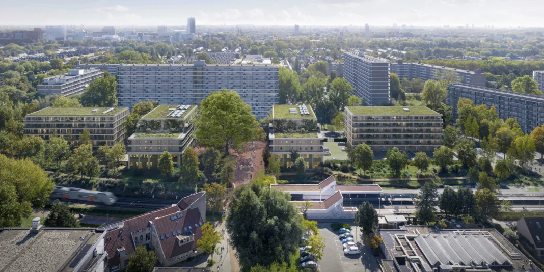 Populus in Rotterdam omvat vier terrasgebouwen in een blauwgroen en deels verhoogd landschap. Met ruim tweehonderd woningen gerealiseerd in hout wordt het een vooruitstrevend houten woningbouwproject.